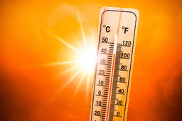 istockphoto-1243760572-612x612.jpg - {istockphoto-1243760572-612x612.jpg} - [8656]