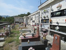 cimitero struppa.jpg - {cimitero struppa.jpg} - [86974]