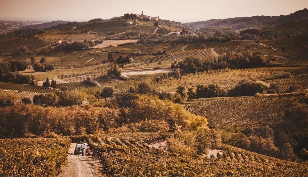  cantina Tre Secoli.jpg - { cantina Tre Secoli.jpg} - [87126]