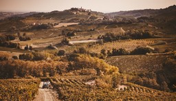  cantina Tre Secoli.jpg - { cantina Tre Secoli.jpg} - [87126]