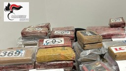 droga portuale.jpg - {droga portuale.jpg} - [87303]