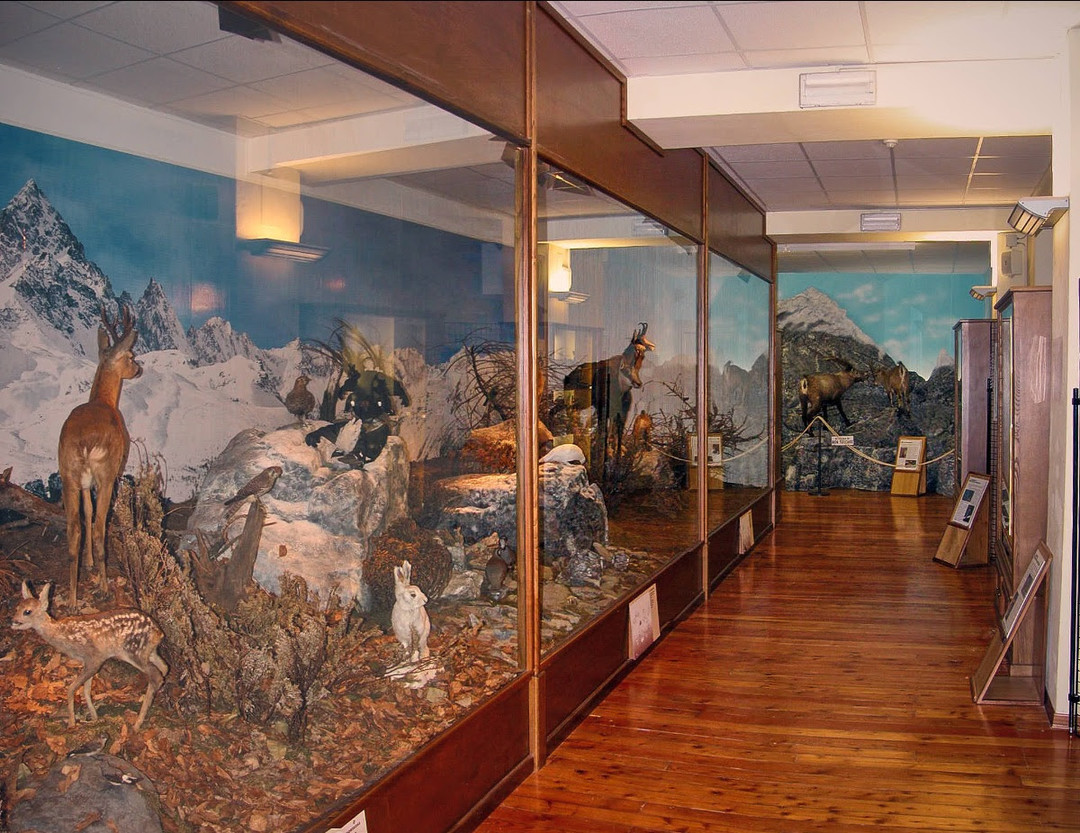 Museo.jpg - {Museo.jpg} - [87327]