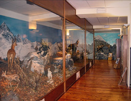 Museo.jpg - {Museo.jpg} - [87327]