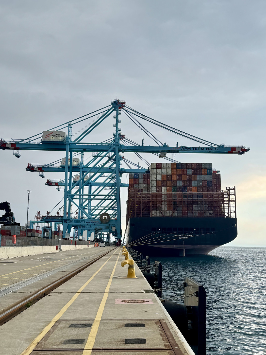 MV Maersk Camden Vado Gateway_nuovo collegamento con Far East 1.jpg - {MV Maersk Camden Vado Gateway_nuovo collegamento con Far East 1.jpg} - [87447]