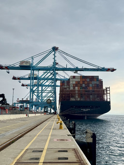 MV Maersk Camden Vado Gateway_nuovo collegamento con Far East 1.jpg - {MV Maersk Camden Vado Gateway_nuovo collegamento con Far East 1.jpg} - [87447]