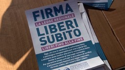 CoscioniVolantino.jpg - {CoscioniVolantino.jpg} - [87952]