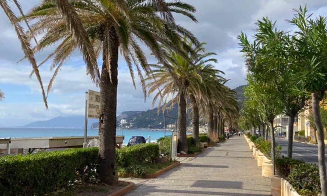 Screenshot 2025-04-14 073836.png - {Screenshot 2025-04-14 073836.png} - [88032]