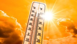 caldo-record.jpg - {caldo-record.jpg} - [8856]