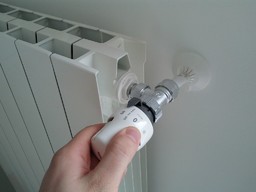 TermosifoneValvola.jpg - {TermosifoneValvola.jpg} - [88687]