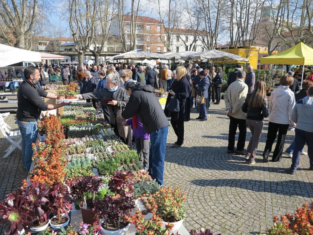pasquetta-bra.jpg - {pasquetta-bra.jpg} - [89208]