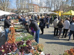 pasquetta-bra.jpg - {pasquetta-bra.jpg} - [89208]