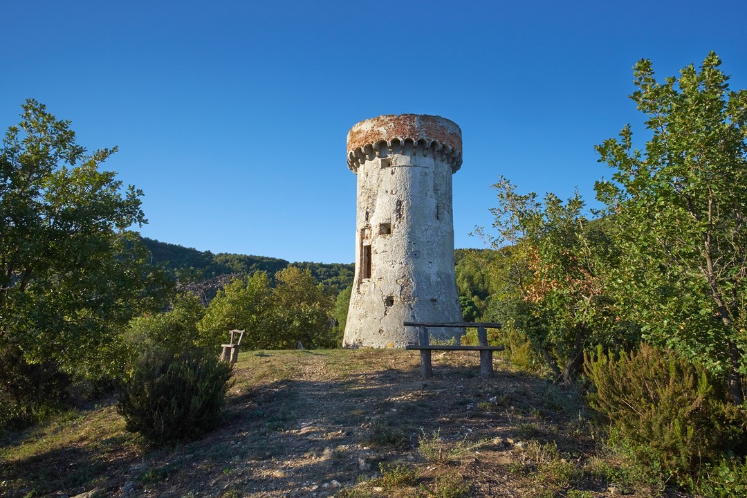 torre di vegliasco_ Foto Emerson Fortunato.JPG - {torre di vegliasco_ Foto Emerson Fortunato.JPG} - [89457]