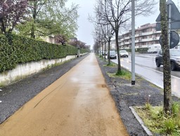 Immagine ciclabile.jpg - {Immagine ciclabile.jpg} - [89633]