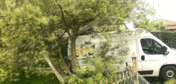 furgone garlenda.png - {furgone garlenda.png} - [89793]