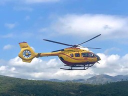 elicottero grifo.jpg - {elicottero grifo.jpg} - [8992]
