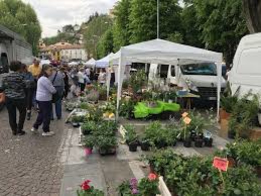 FestaPrimaveraCanelli.jpeg - {FestaPrimaveraCanelli.jpeg} - [90105]