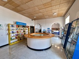 Biblioteca Civica di Alassio.jpeg - {Biblioteca Civica di Alassio.jpeg} - [91034]