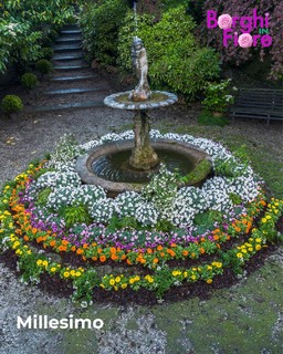 0422 Borghi in Fiore.jpg - {0422 Borghi in Fiore.jpg} - [91058]