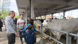 pasquetta-21-aprile-2025-18.jpg - {pasquetta-21-aprile-2025-18.jpg} - [91178]