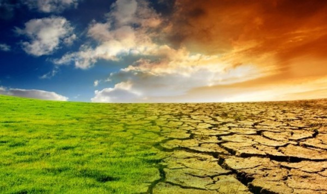 Cambiamenti climatici.jpg - {Cambiamenti climatici.jpg} - [91186]