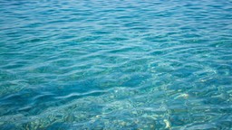 mare.jpg - {mare.jpg} - [93198]
