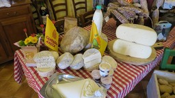 foto cibo agriturismo campagna amica coldiretti.JPG - {foto cibo agriturismo campagna amica coldiretti.JPG} - [93494]