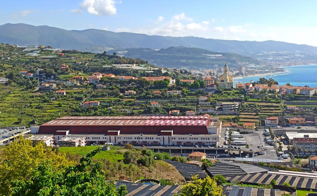 Mercato-dei-Fiori-Sanremo (1).jpeg - {Mercato-dei-Fiori-Sanremo (1).jpeg} - [95480]