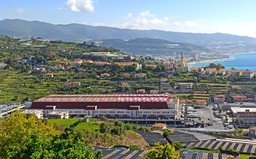 Mercato-dei-Fiori-Sanremo (1).jpeg - {Mercato-dei-Fiori-Sanremo (1).jpeg} - [95480]