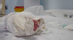 screening neonatale 1.jpg - {screening neonatale 1.jpg} - [97185]