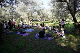 oliveta.jpeg - {oliveta.jpeg} - [97729]