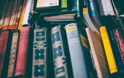 ere.jpg - {ere.jpg} - [97769]