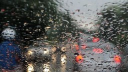 121.jpg - {121.jpg} - [99025]
